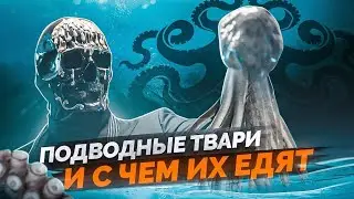 ‍Подводные твари и с чем их едят - Готовим вместе с Мориарти 