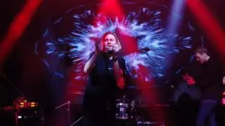 Максим Свобода (СвобоDa) - котенок у проруби (live)