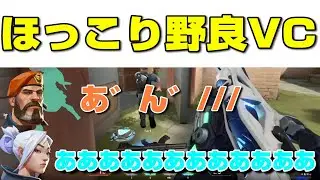 野良VCのキッズと外国人の交流が超ほっこりで笑ったｗ【ヴァロラント】