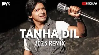 SHAAN - TANHA DIL | 2023 REMIX | AYK | PROGRESSIVE MIX