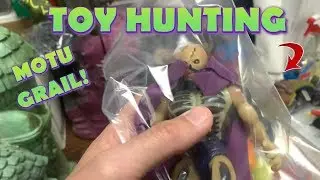 Toy Hunting MOTU GRAIL FOUND!