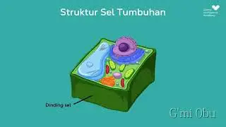 STRUKTUR DAN ORGANEL SEL#ipa #kelas11 #edukasi #videoyoutube #sains #videopembelajaran