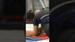 Бойцы ММА на чемпионате Сибири в Кызыле