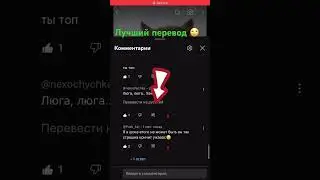 Лучший перевод 🙄
