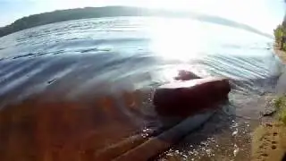 Фидерная рыбалка на средней Волге.