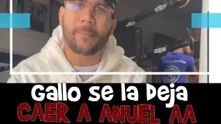Gallo the producer critica a Anuel por llevar regalos a niños de PR.