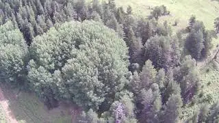 Архыз. Начало пути на Речепсту. Кемпинг в живописном месте после Лунной поляны