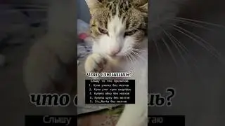 30 октября 2023 г.