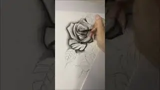 Rose drawing timelapse #art #artshorts #rosedrawing #rosedrawingeasy #tattooart #faith