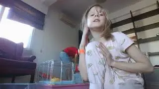 Кипарский хомяк