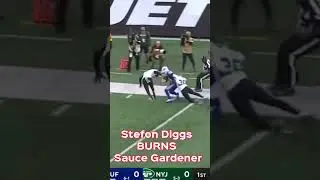 Stefon Diggs BURNS Sauce Gardener