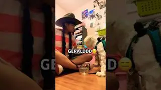 What did I say ? 😤 #trending #funny #fyp #dog #puppy #cute #memes