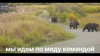 10 июля 2023 г.