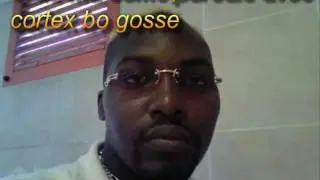( ***** Cortex boloss ***** )