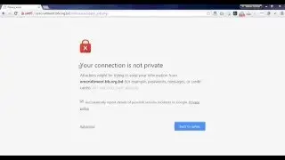'Showing  Privacy Error'