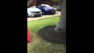 Girl fails on Hammock