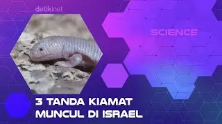 Heboh! 3 Tanda Kiamat Sudah Muncul di Israel, Ini Fakta Sebenarnya
