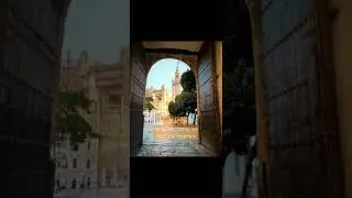 Frame your subjects