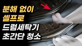 드럼 세탁기 분해없이 셀프청소하는 방법 총정리
