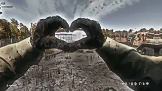 дауз