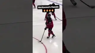 Hope this inspires you to work on your hands today ✅✅✅ #hockeyskills
