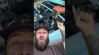 Understanding Cars