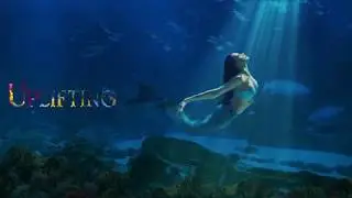 Uplifting | Melodic Orchestra