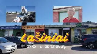 Renka parašus Seimo rinkimams ir siūlo lašinius po 1 eurą Kaune