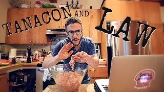 TANACON LEGAL ANALYSIS BASED ON PEWDIEPIE'S EVIDENCE (and a chicken recipe)