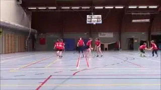 Lead up Games( Mini Volleyball) field Fames and Motet learning drills
