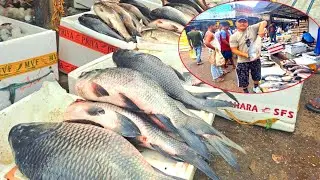 सिलिगुडी माछा बजार मन्डी पुग्दा माछा देखेर हैरान भइयो  Siliguri in  Fish's Market