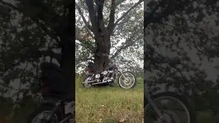 shovelhead nature #shovelheadchopper  #harley