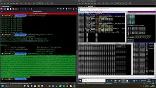 Stack Buffer Overflow Nedir ?