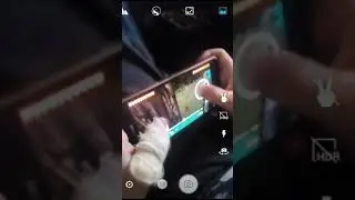 Глюк с свиньей