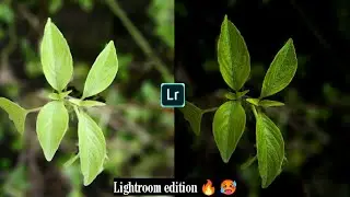Lightroom photo editing | dark and green | Ligrey tone photo editing tutorial |😍❤️‍🔥