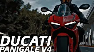 DUCATI Panigale V4 | Hensonn - Sahara #shorts