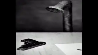 Мем 229