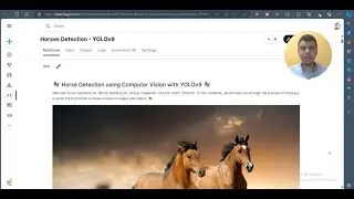 Horses Detection YOLOv9 🐎