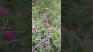 24 июня 2023 г.