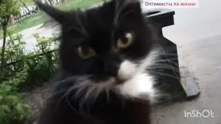 ПРЕКРАСНАЯ НЕЗНАКОМКА!