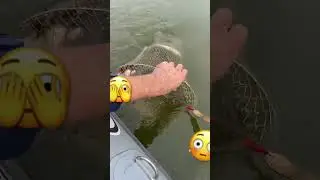 Поймали садок с рыбой!