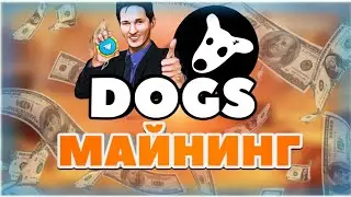 Твой последний шанс получить DOGS перед листингом! Майнинг DOGS на кошельке в Telegram