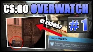 ▶[CS:GO Overwatch] Suspect is MARRIED to the Scout?! #1