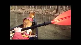 2023 Solo Canoe Camping