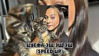 Лизогуб Давид(цуефа)- ЭЩ ЭЩ ЭЩ (speed up) #рекомендации 🍡🔫