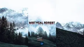 Preset Adobe Lightroom Mobile - Mistycal Forest Preset l Free Download Dng
