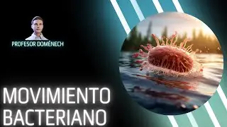 TIPOS DE MOTILIDAD BACTERIANA