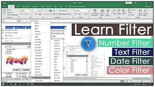 How to use Filter in Excel-2019 | Part-1 | Hindi & Urdu