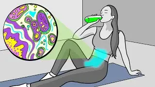 Can You Drink Diet Soda On Keto?