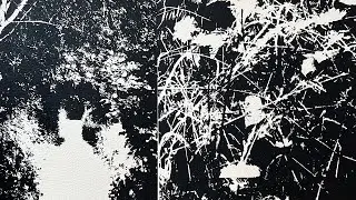 Holzweiler SS24 'Rewilding' featuring Suzannah Pettigrew